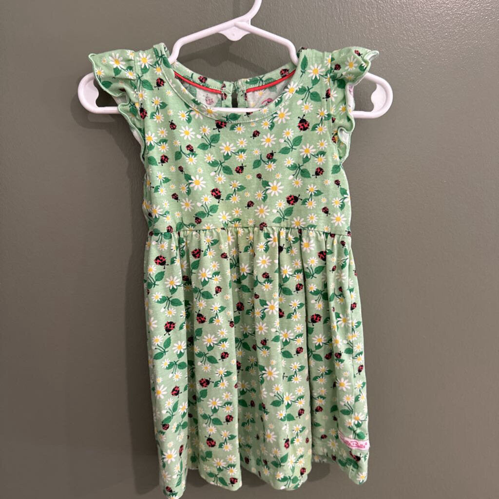 Ladybug dress