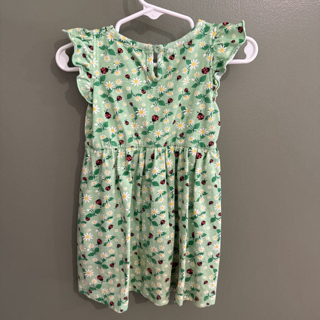 Ladybug dress