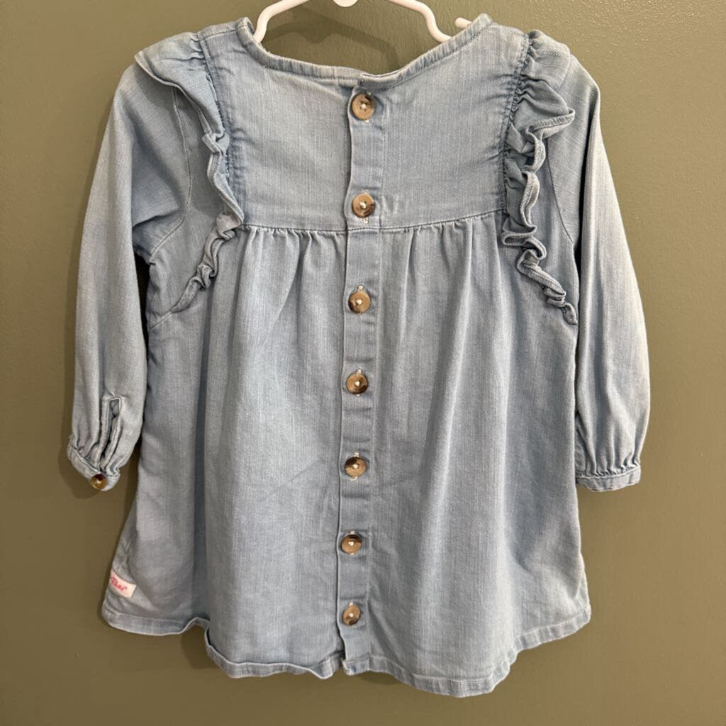 Ruffle Butts Denim Shirt