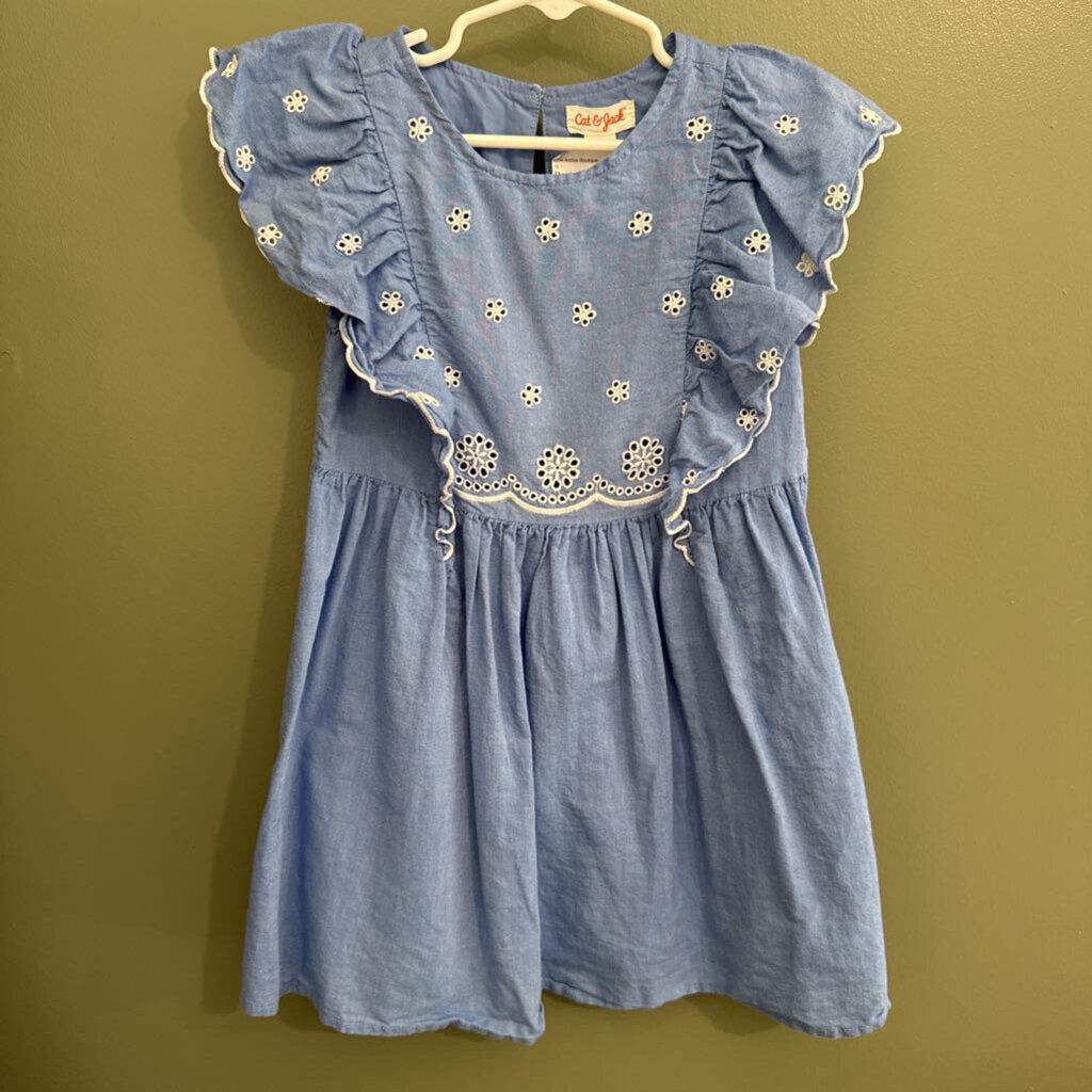 Chambray Dress