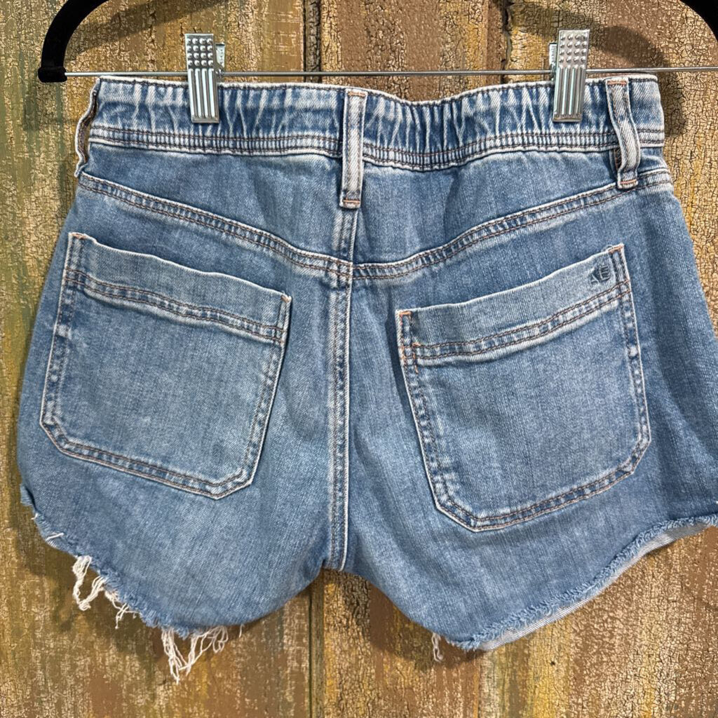 American Eagle Denim Short