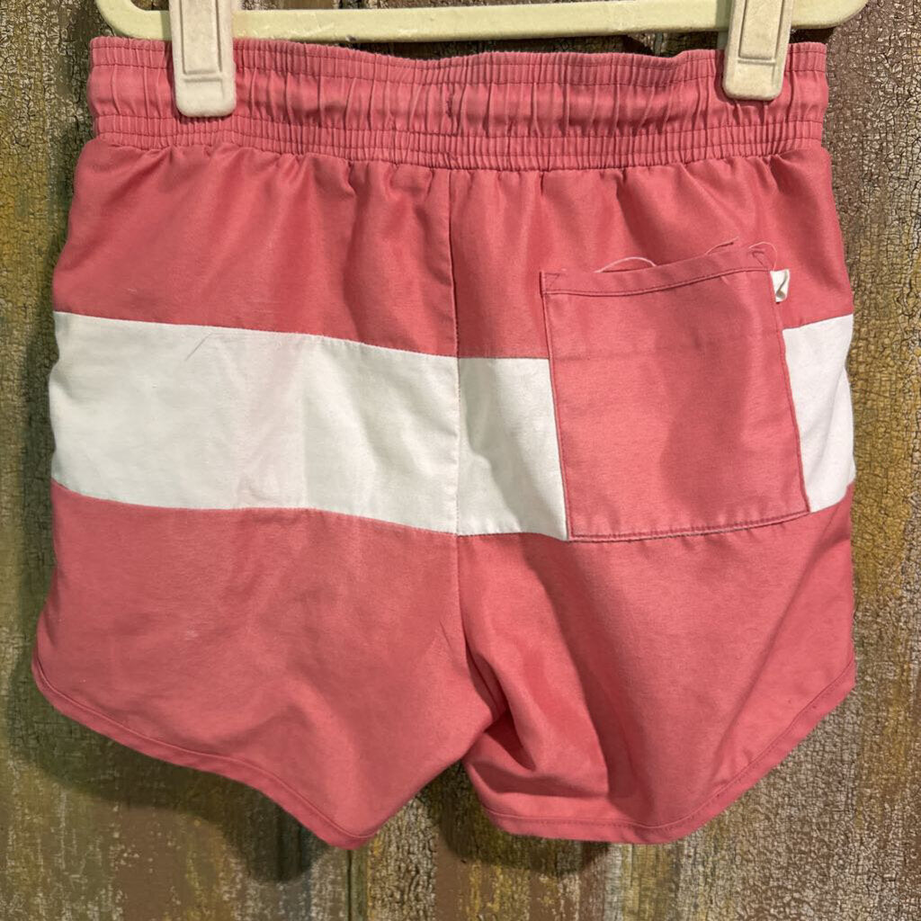 minnow salmon swim