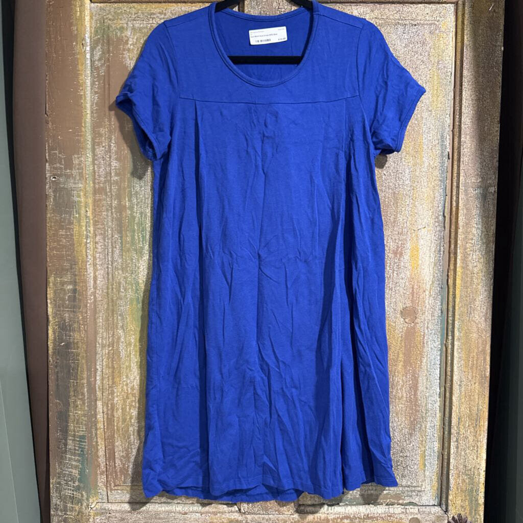 Savi Mom blue Dress